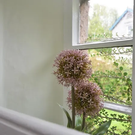 Semesterbostad Dove Cottage - Sleeps 6 Near Cartmel Grange-over-Sands